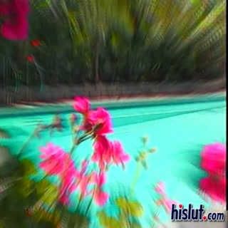 Xxx girelvideos.com